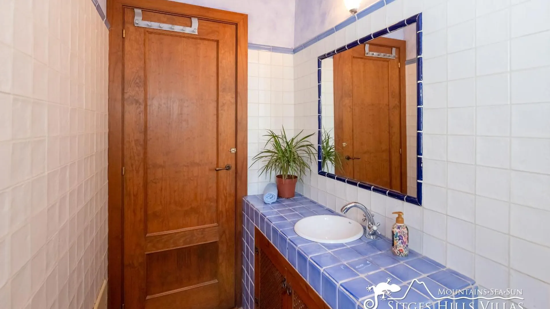 Charming Villa Tamarindo Olivella